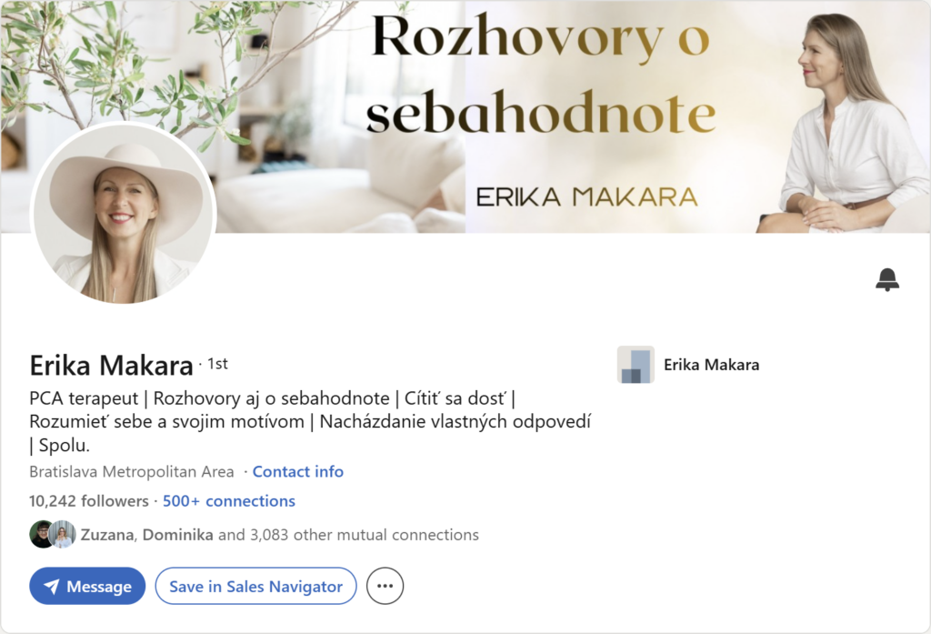 Prvá impresia Linkedin profilu – Erika Makara