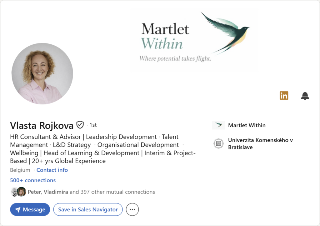 Prvá impresia Linkedin profilu – Vlasta Rojková